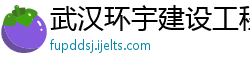 武汉环宇建设工程监理有限公司